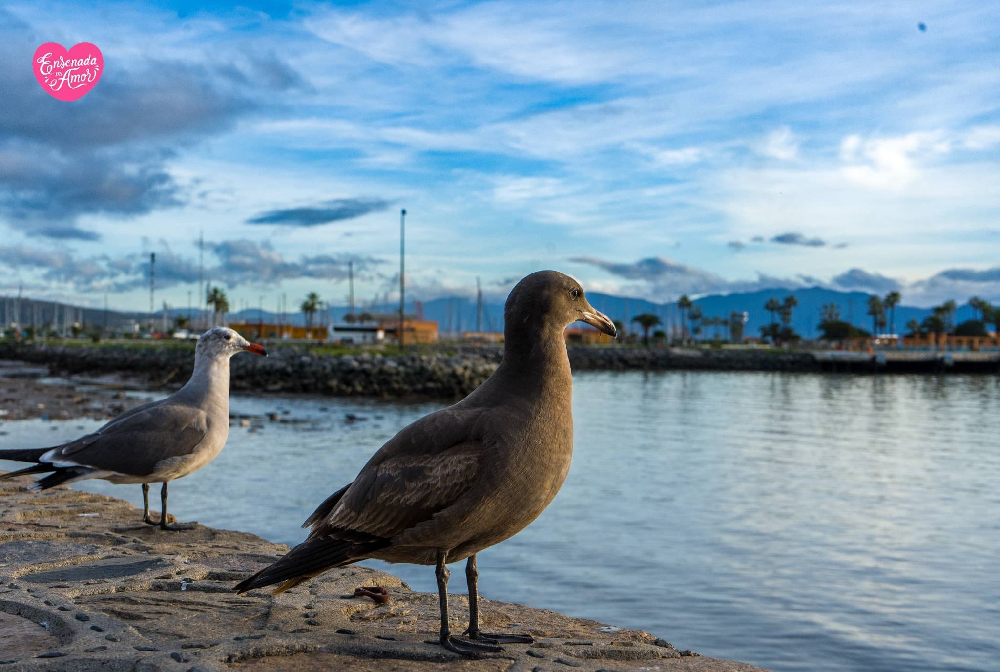 Ensenada