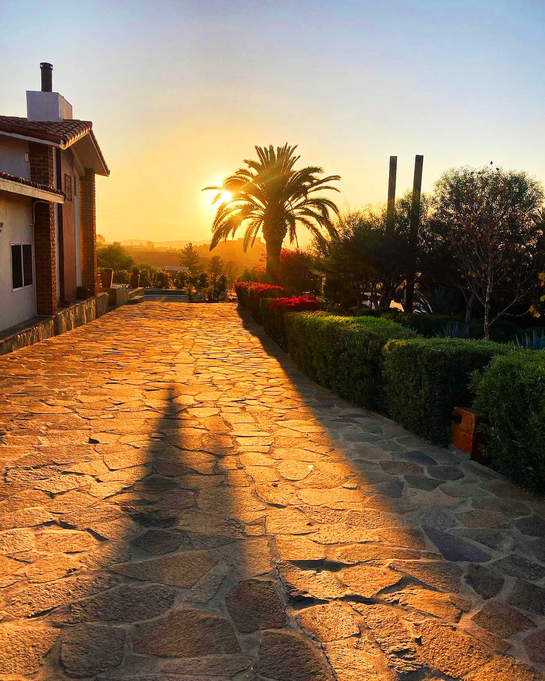 Valle de Guadalupe